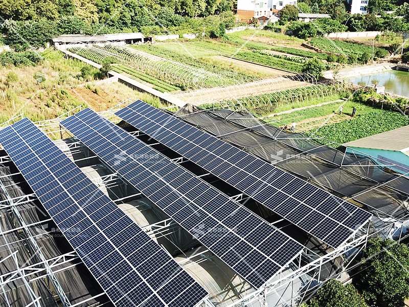 湖北ok138cn太阳集团529绿色能源有限公司