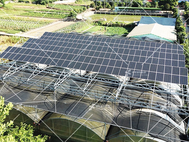 湖北ok138cn太阳集团529绿色能源有限公司