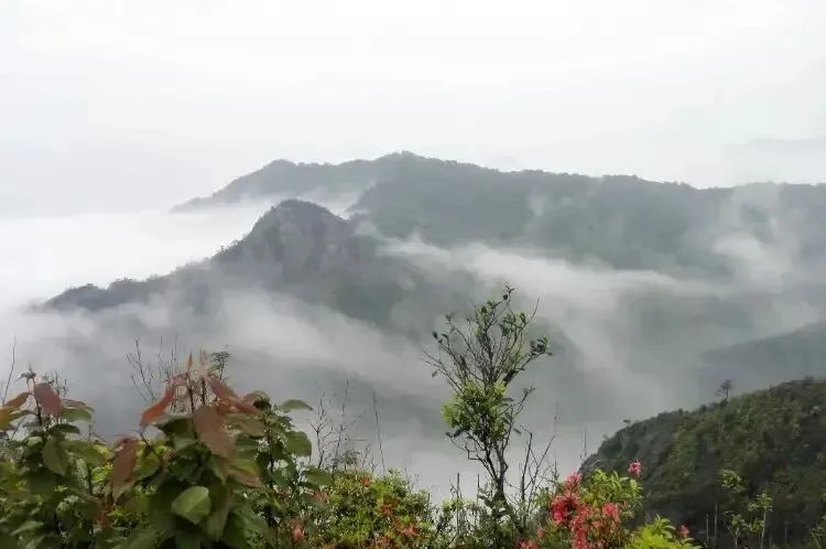 湖北ok138cn太阳集团529绿色能源有限公司