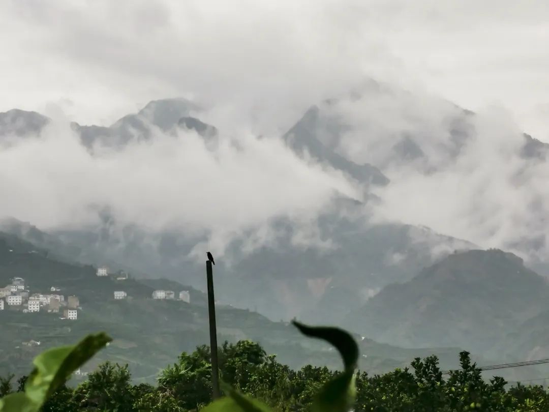 湖北ok138cn太阳集团529绿色能源有限公司